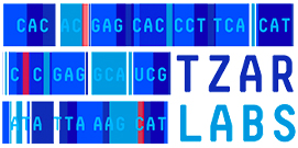 Tzar Labs Logo